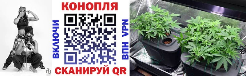 Где купить Курган АМФЕТАМИН Cocaine Меф ГАШИШ