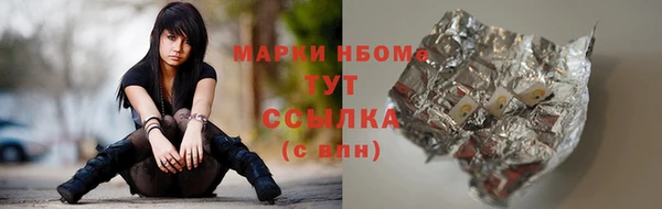 эйфоретик Гусь-Хрустальный