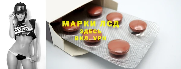 эйфоретик Гусь-Хрустальный
