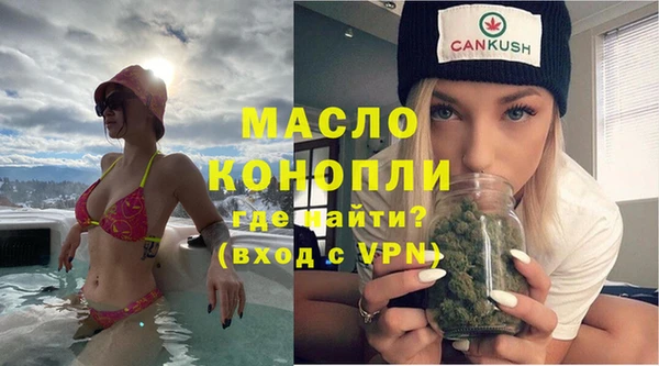 эйфоретик Гусь-Хрустальный