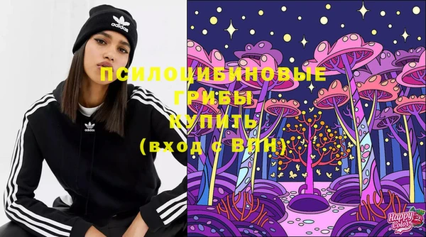 дмт Дмитровск